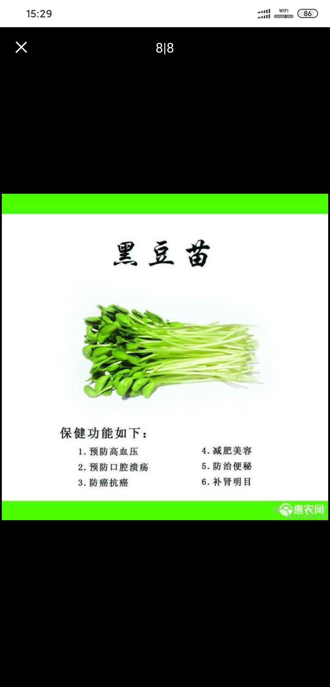  黑豆芽，是黑豆经水陪，健康的绿色蔬菜。