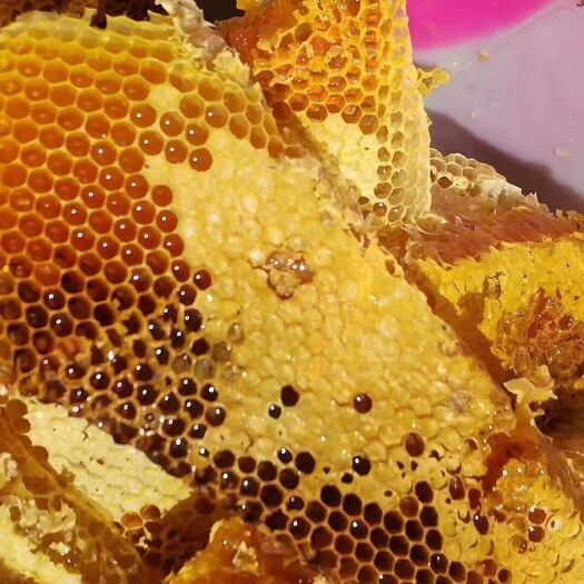 西昌市 自家的土蜂蜜