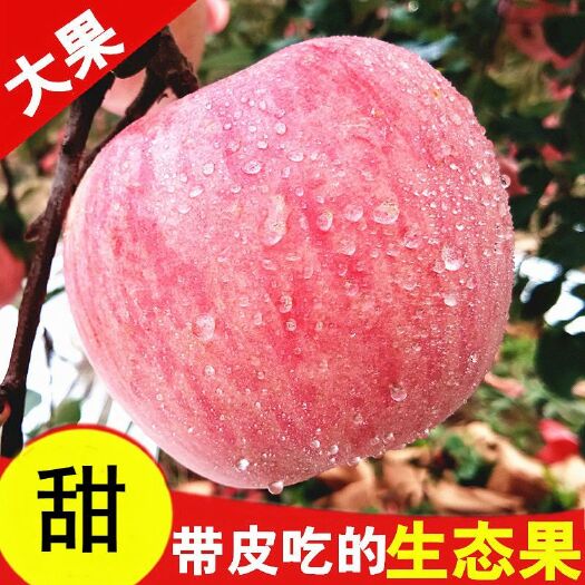 【冰糖心】现摘水果红富士苹果新鲜当季批发包邮一整带箱