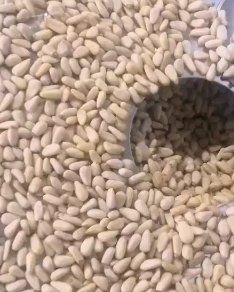 松子仁 油炸红松仁一等食品厂出口货