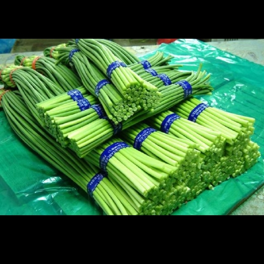 邳州市邳州蒜苔 蒜薹大量供应