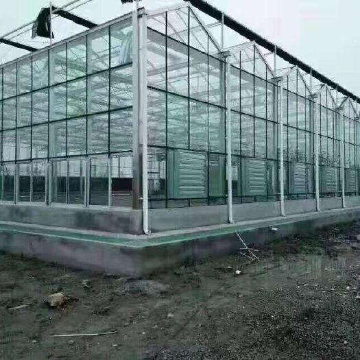 天津钢管大棚