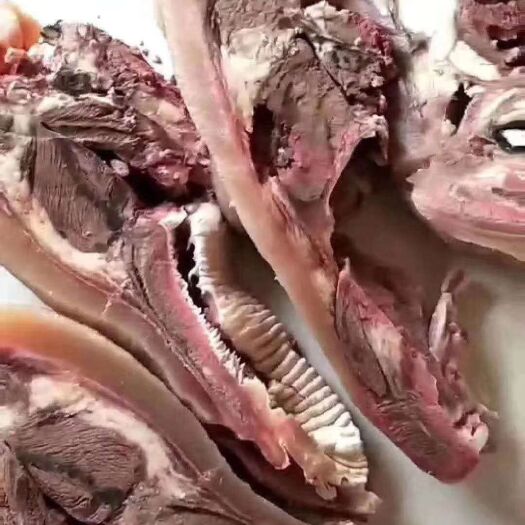 阳信县 熟牛头肉