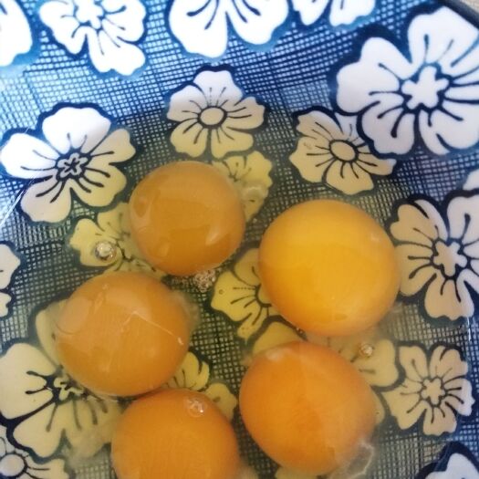 东台市 家养土鸡蛋