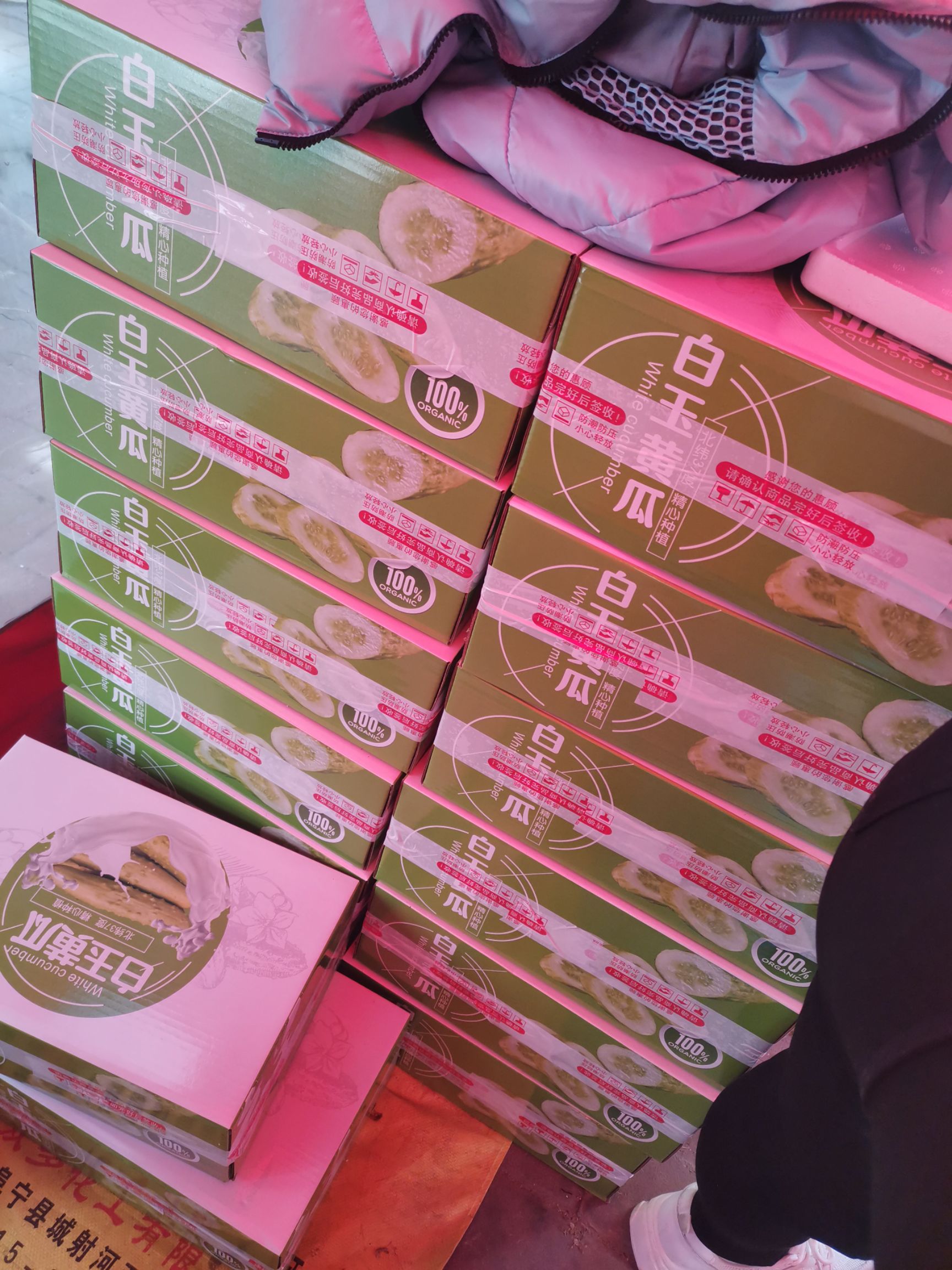  正宗山东海阳白玉黄瓜