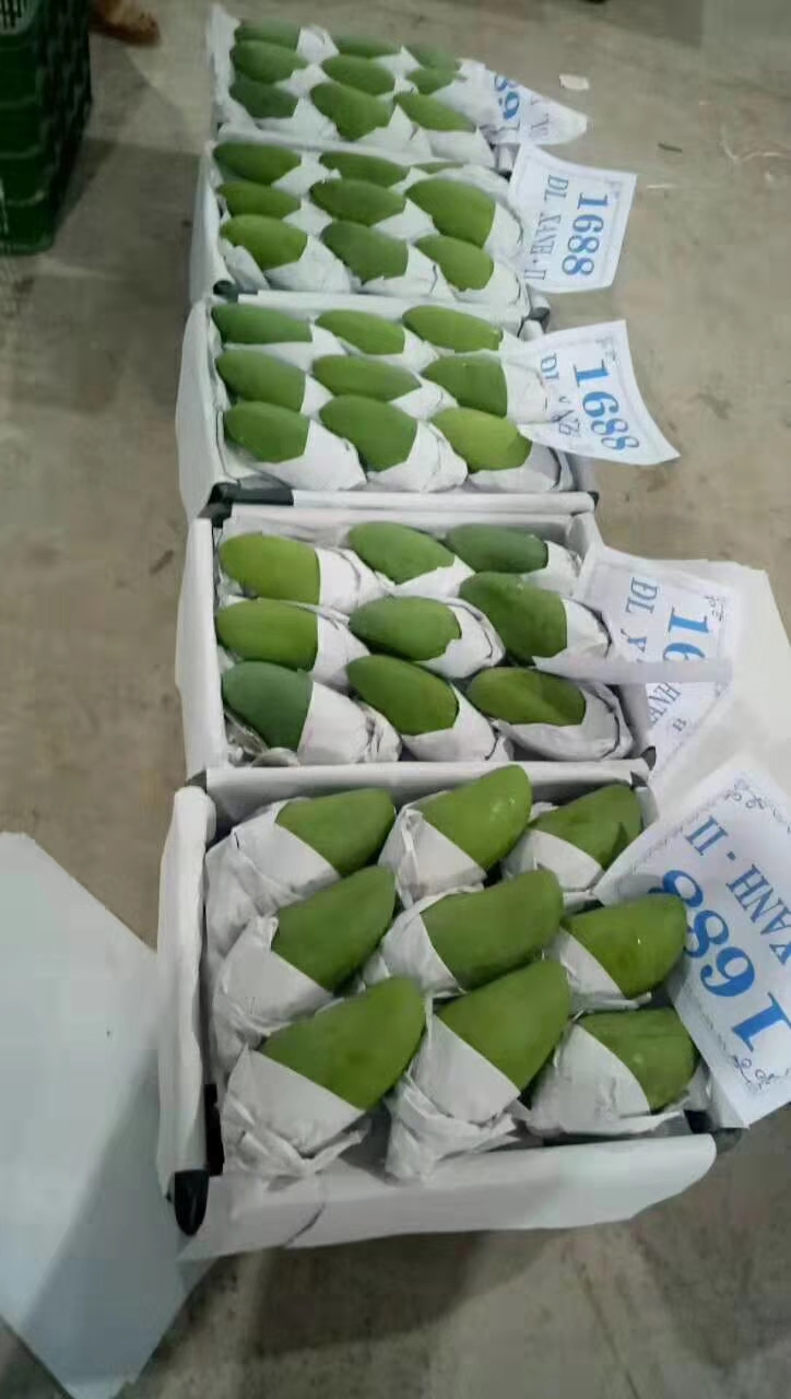 越南青芒 越南大青芒   原产地直供   颜值口感担当    核薄香甜