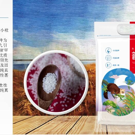 吉林市 普康6号大米（优质一级）