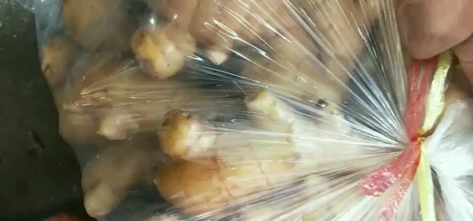 广州黄姜 山东大姜