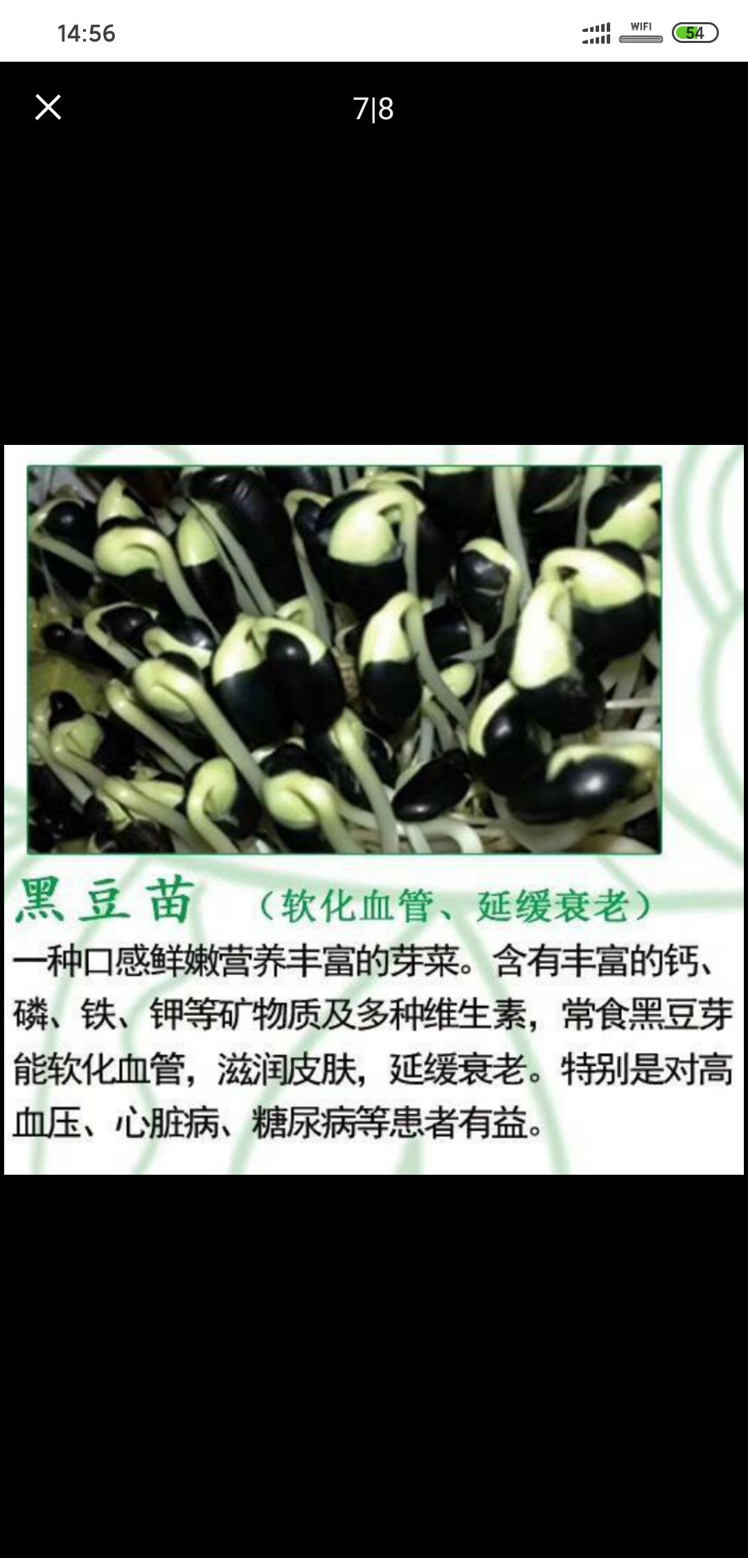  黑豆芽，是黑豆经水陪，健康的绿色蔬菜。