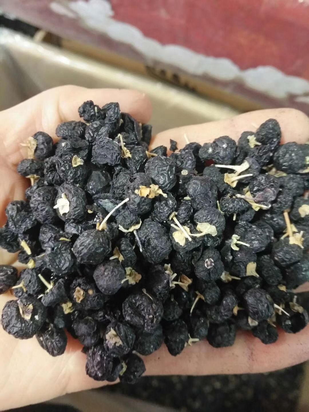  新疆昆仑雪菊，精品黑枸杞，大果沙棘，艾比湖湿地的特大肉苁蓉。