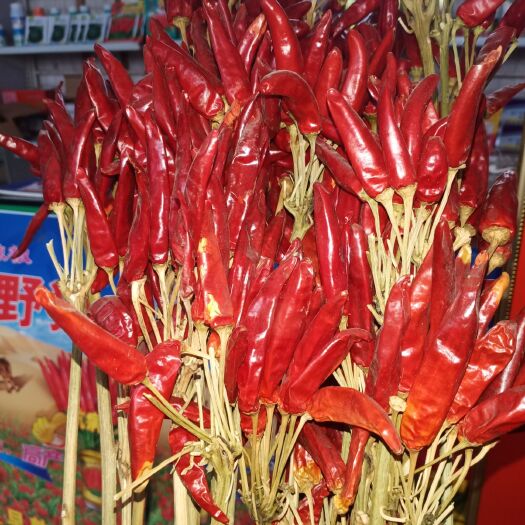 鱼台县朝天椒种子  朝天椒高辣。中辣，微辣。天宇。千金红。