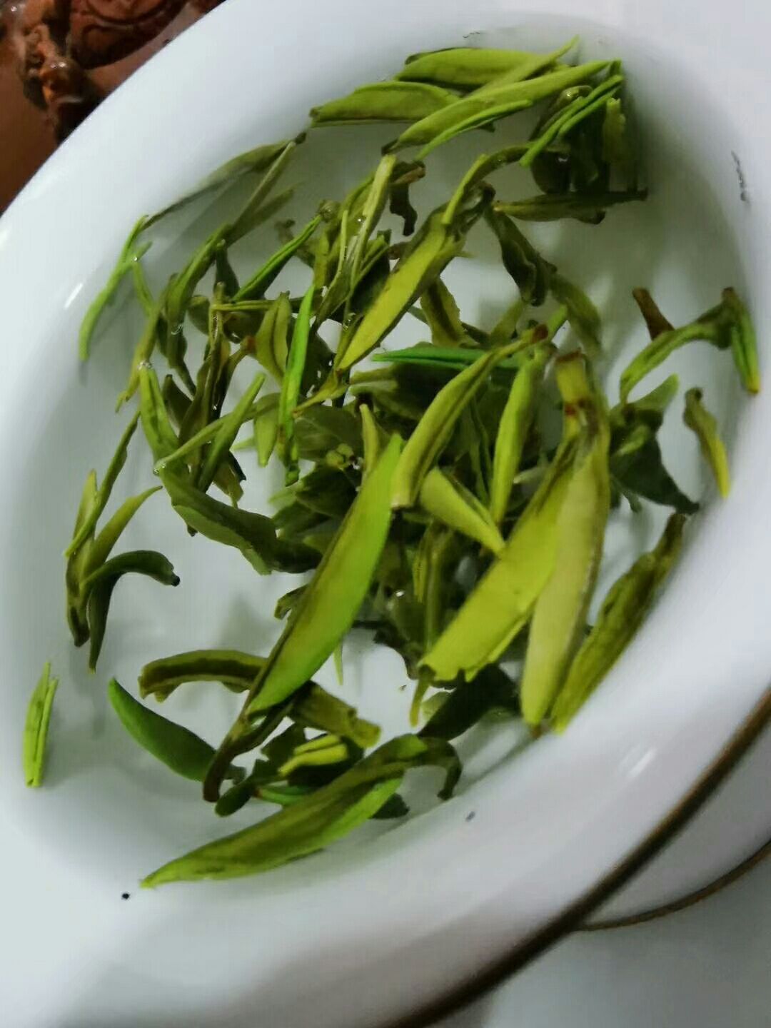  云南滇红翡翠绿茶早春芽有机烘青原产地直供支持代加工大量批发