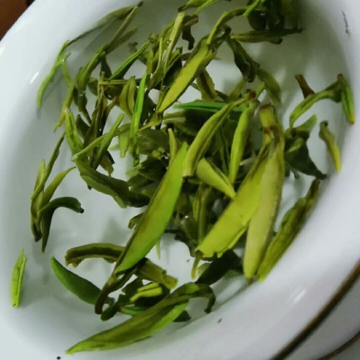 凤庆县 云南滇红翡翠绿茶早春芽有机烘青原产地直供支持代加工大量批发