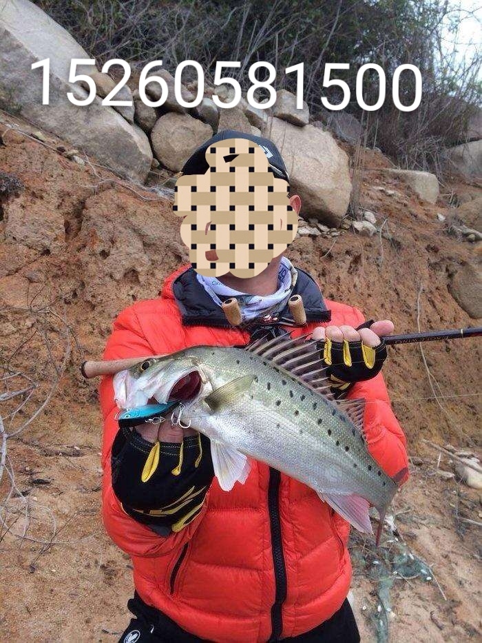  鲈鱼苗，海鲈，七星鲈鱼苗出售，已淡化适合水库及各种咸淡水域