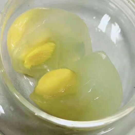 莘县白鸽蛋 纯粮食喂养，安全放心