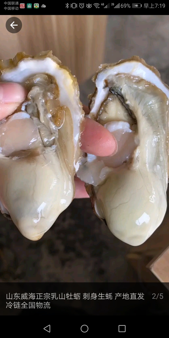  山东乳山生蚝海蛎子广州生蚝牡蛎1-2两2-3两3-4两度夏