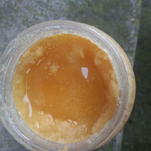 瓮安县土蜂蜜 纯蜜蜂糖