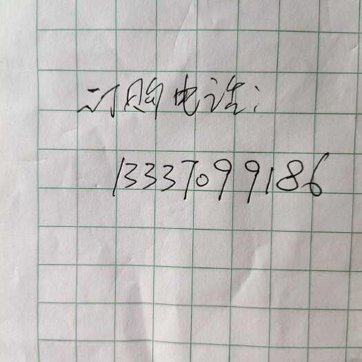 达拉特旗羊粪