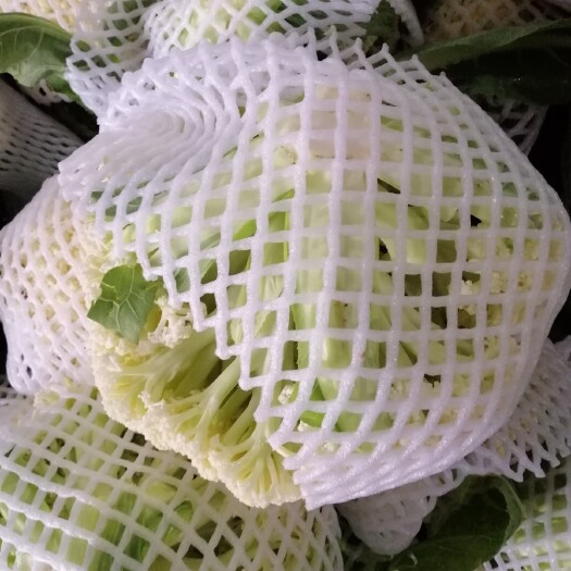 天门市白面青梗松花菜  湖北天门散花大量上市，价格不高，天天发车，
