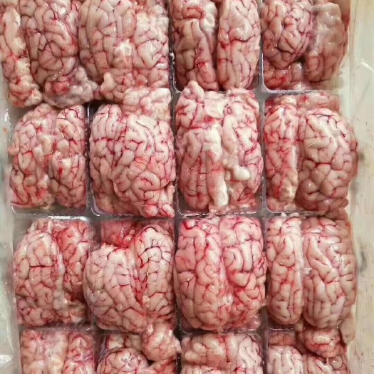 中牟县羊脑  对脑
