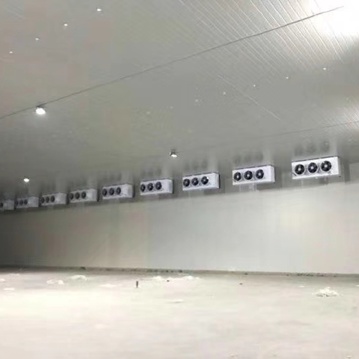 林口县 冷库，承接冷库工程，订制大中小型蔬菜水果保鲜库，冷冻，冷藏