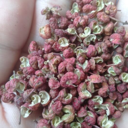 郑州大红袍花椒 韩城大红袍中椒纯大红袍不掺小椒，原货
