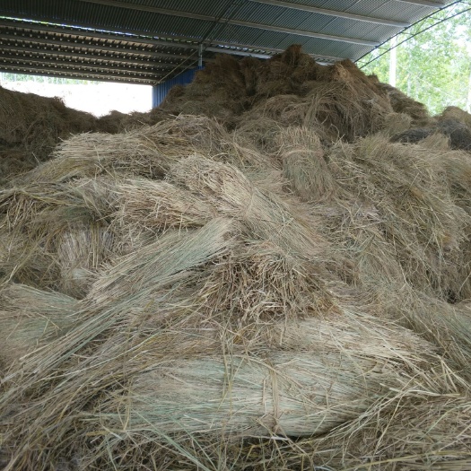 东台市稻草 鸭 牛 羊 马