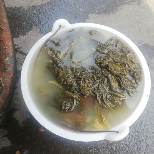百色腌芥菜 散装 2-3个月