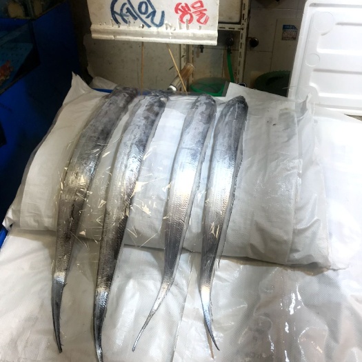 北海 精品带鱼