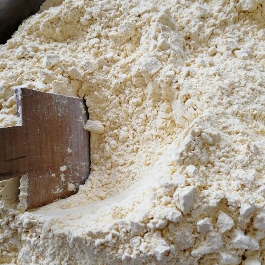 磁县玉米面 农肥有机模范基地种植