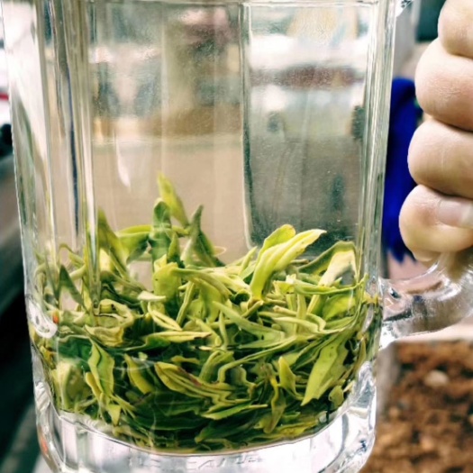 庐山市庐山云雾 谷雨茶，价格优惠，