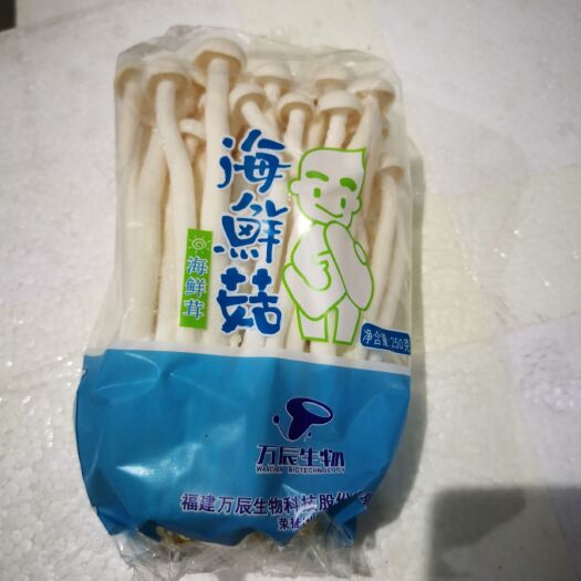 晋江市 海鲜菇250g