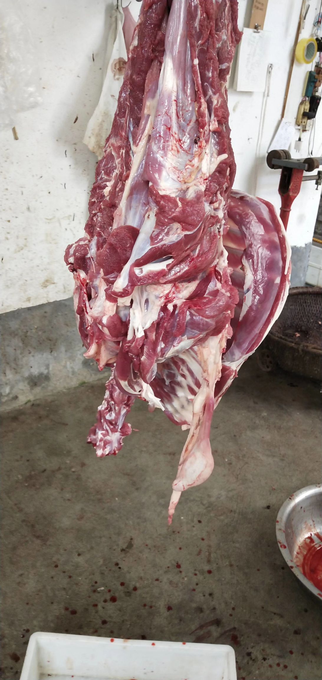 冰鲜羊肉
