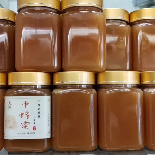 遂宁 天然中蜂蜜