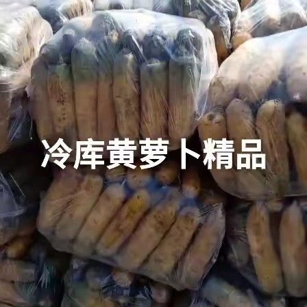 临猗县萝卜 0.2~1斤
