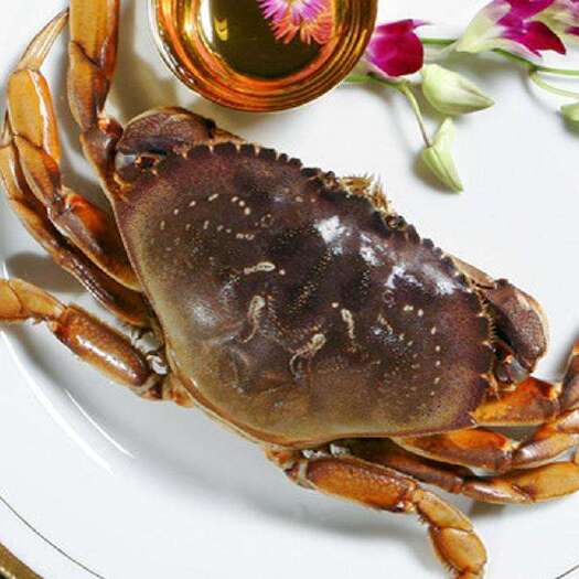 鲜活珍宝蟹