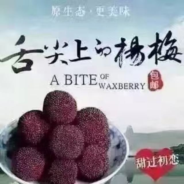  正宗仙居杨梅，有钱也不一定买的到。