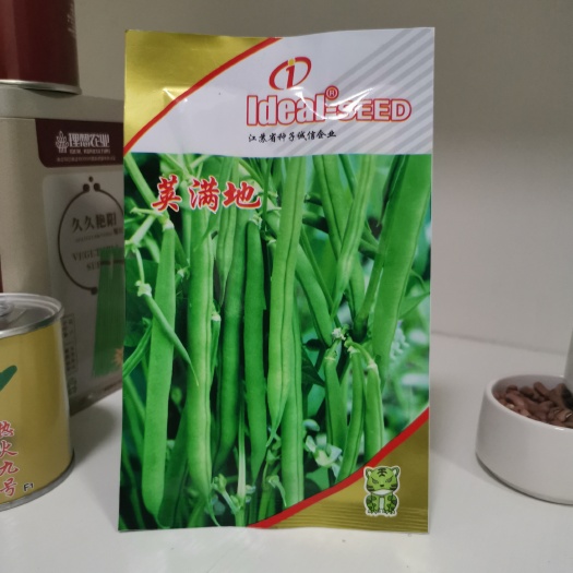 沭阳县四季豆种子 荚满地菜豆40克装早熟丰产优质无筋