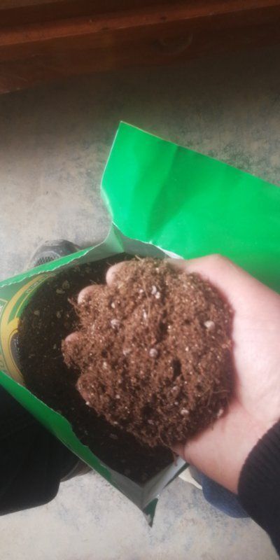 莘县基及树  花土.花卉园艺专用基质，花卉基质.园艺基质.