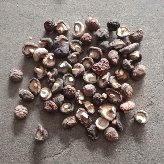 南召县 2019新货 冬菇干货 规格齐全量大从优 一手货源 香菇
