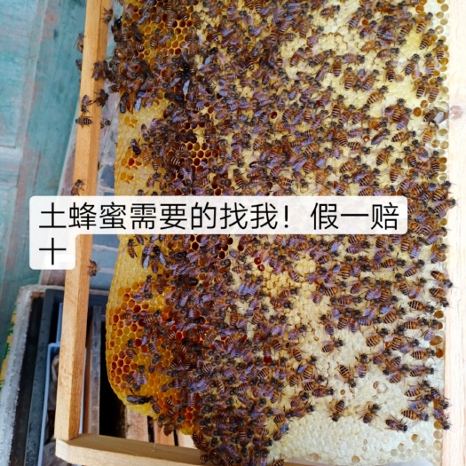 博白县大山里的蜂蜜，龙眼花荔枝蜜甘菊花为主，不做假不卖假！