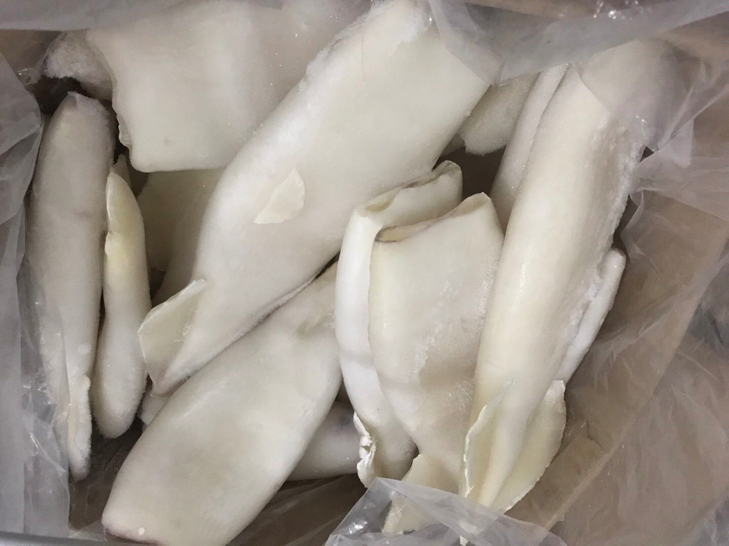  鱿鱼筒