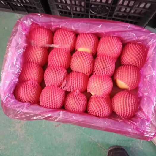 礼泉县礼泉红富士苹果