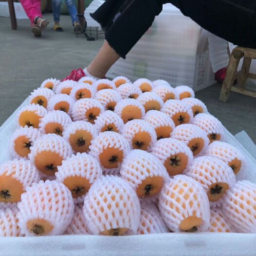 德昌县 大五星枇杷，纯甜