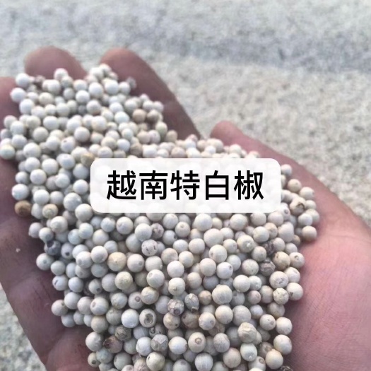 郑州 越南超白，白胡椒无黑籽。