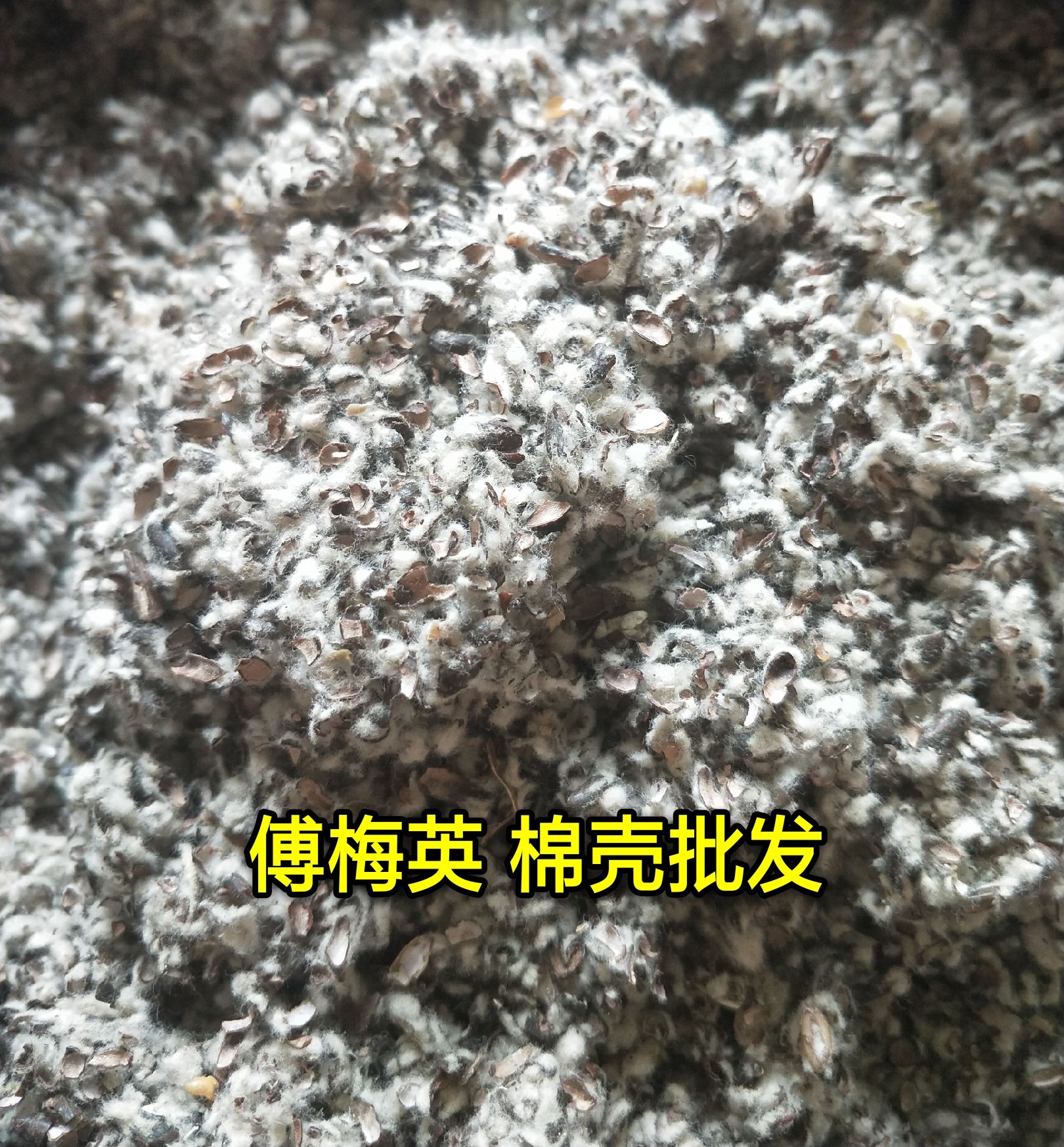 棉籽壳  新疆棉壳、中壳中绒、食用菌栽培原料、种植蘑菇