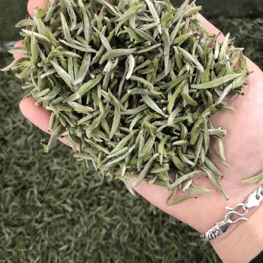安溪县 白茶