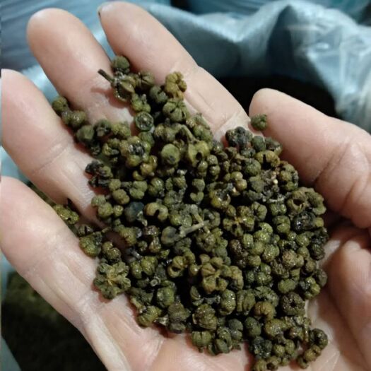 柳城县 中花吴茱萸