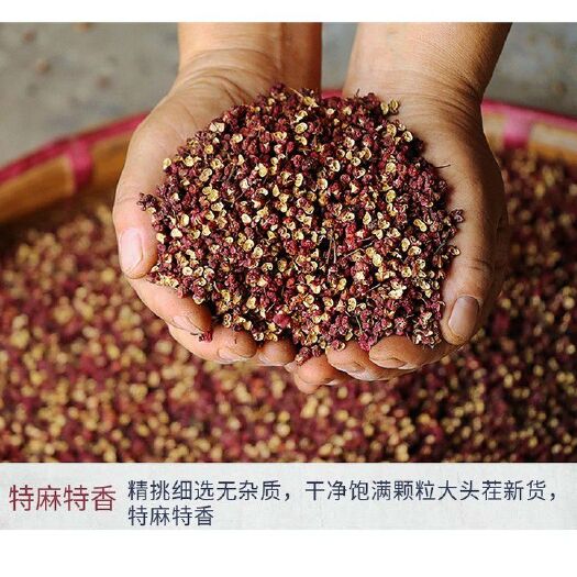 礼县 大红袍花椒