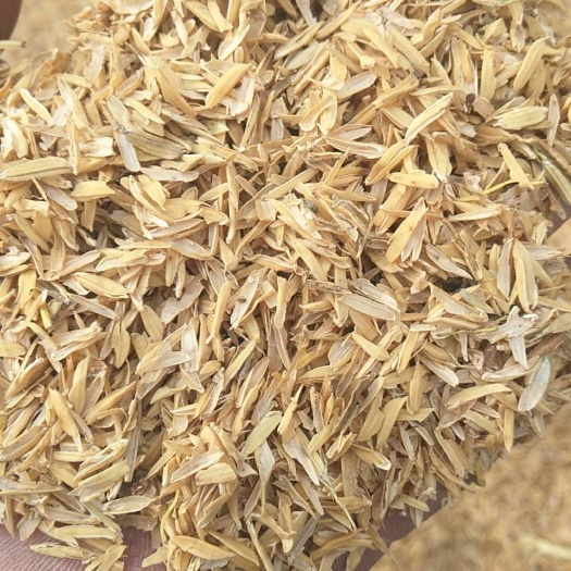 压缩稻壳 早稻